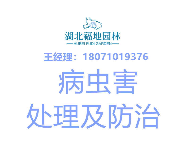 病蟲害處理
